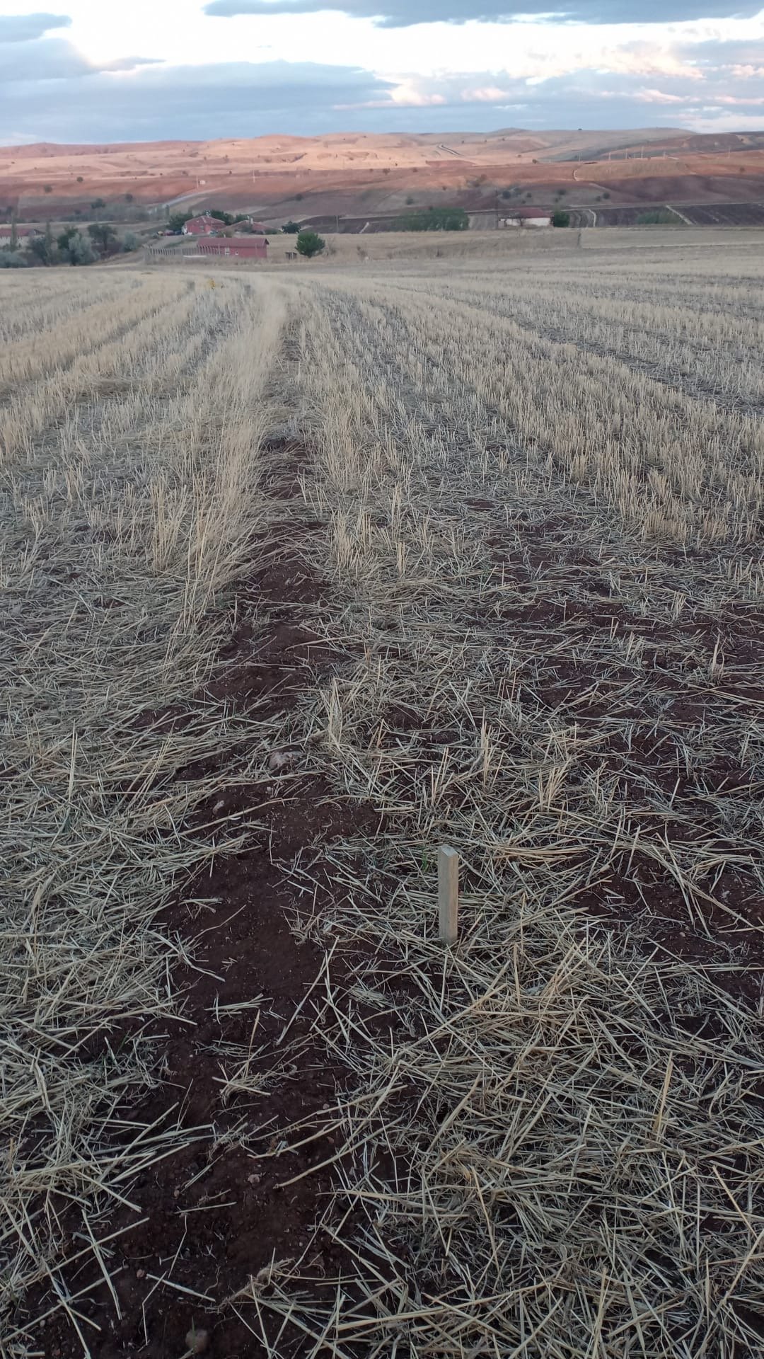 Şantiye Çalışması