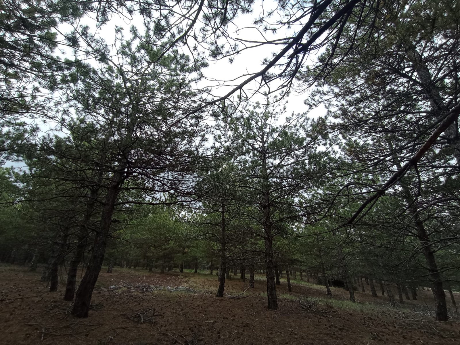 Şantiye Çalışması