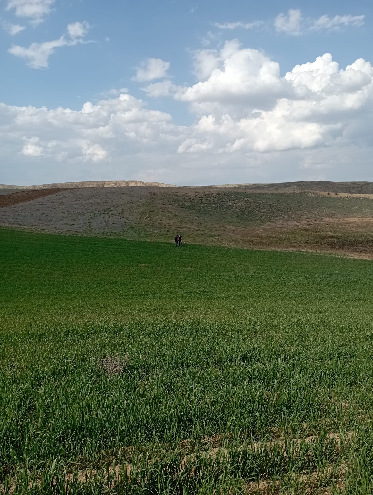 Şantiye Çalışması